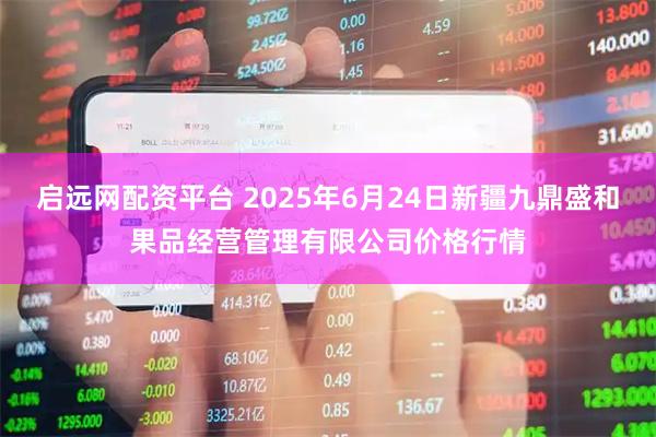 启远网配资平台 2025年6月24日新疆九鼎盛和果品经营管理有限公司价格行情
