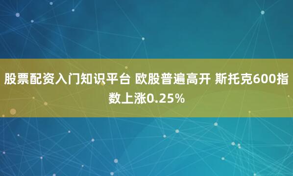 股票配资入门知识平台 欧股普遍高开 斯托克600指数上涨0.25%
