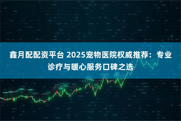 鑫月配配资平台 2025宠物医院权威推荐：专业诊疗与暖心服务口碑之选